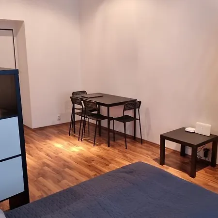 Comfortable Great Location Close To Center Apartment